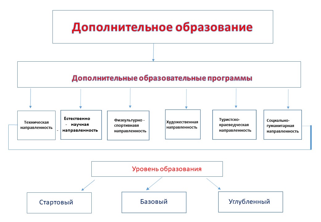 уровни образования